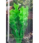 Artificial plant - Echinodorus