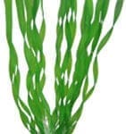 Artificial plant - Vallisneria 20 cm