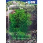 Artificial plant - Egeria 13 cm