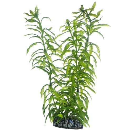 51566-Heteranthera-Small_1.jpg Artificial plant - Heteranthera small - Image 1