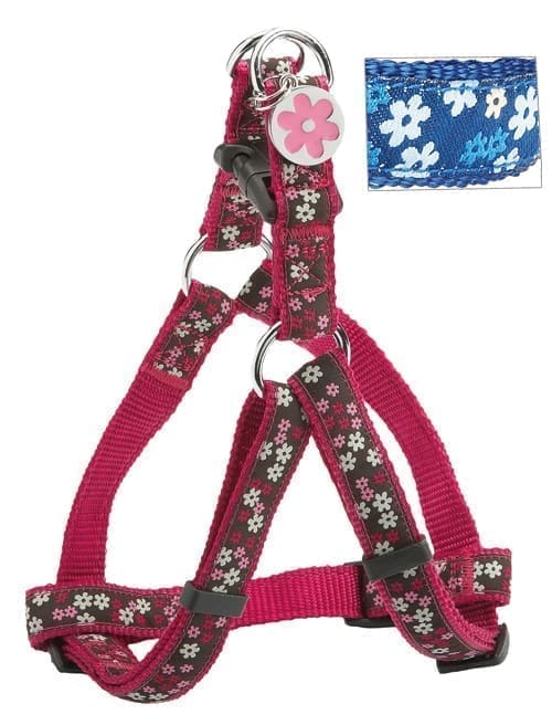 HNFLOWbleu.jpg Flower Harness - Blue-M - Image 1