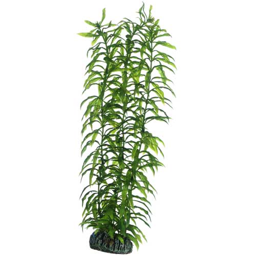 HO51567.jpg Artificial plant - Heteranthera large - Image 1