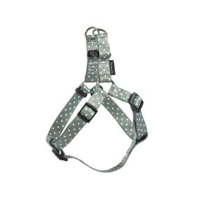 Pretty Boudrier Harness