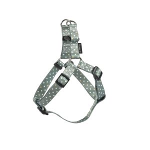 Pretty Boudrier Harness
