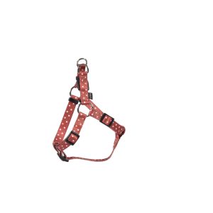 Pretty Boudrier Harness