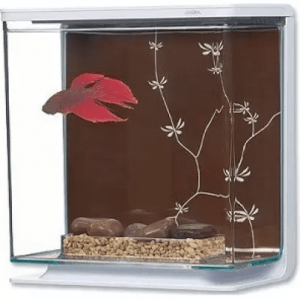 Marina Betta Kit - Contemporary 3L
