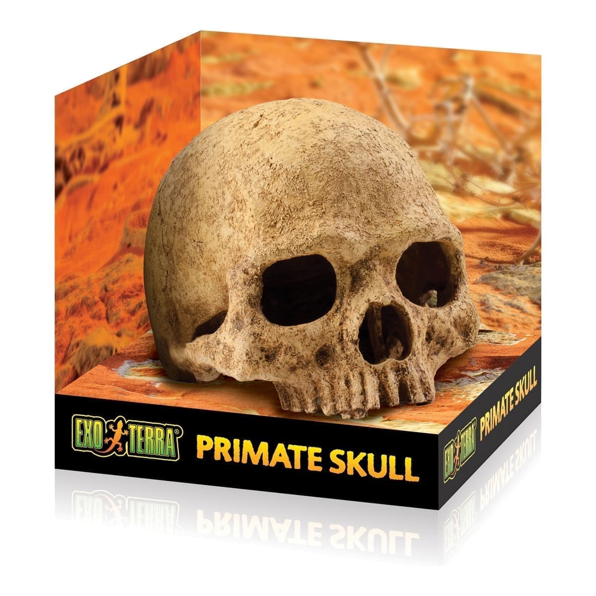 pt2855.jpg Terrarium Decor - Primate Skull - Image 1