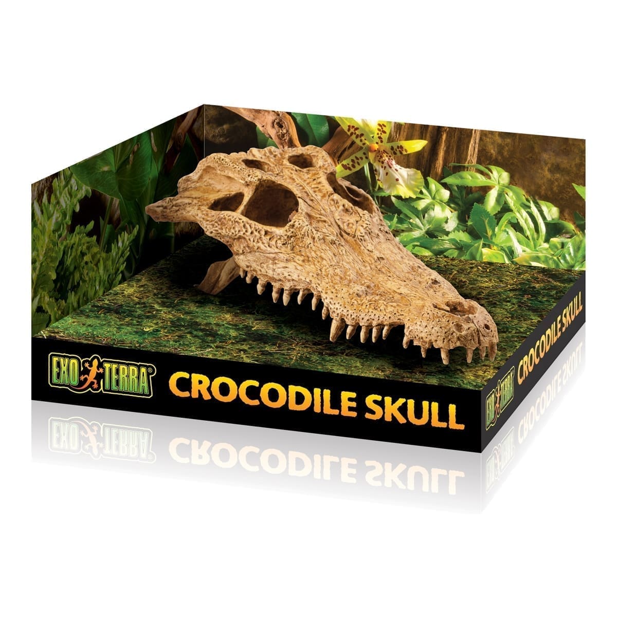 pt2856.jpg Exo Terra Crocodile Skull - Image 1