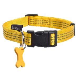 Safe Collar
