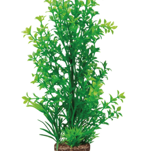 Flora Stone - Flora Stone 6
