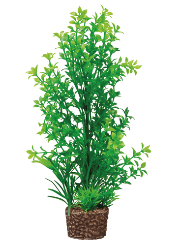 screen_shot_2018-07-24_at_5.37.51_pm.png Flora Stone - Flora Stone 6 - Image 1