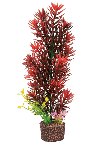 screen_shot_2018-07-24_at_5.41.07_pm.png Flora Stone - Flora Stone 8 - Image 1
