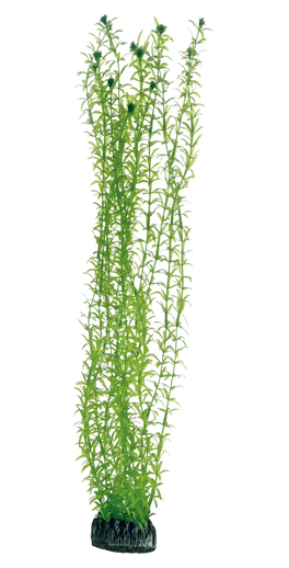 screen_shot_2018-07-24_at_5.47.07_pm.png Artificial plant - Lagarosiphon 60 cm - Image 1