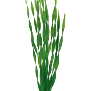 Artificial plant - Vallisneria 60 cm