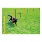 Pawpals Dog Training Poles 117X12X12Cm-12Pcs