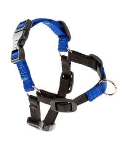 10901-home_default.jpg Ferplast Coach P S-M Harness - Image 1