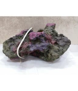 6025-home_default.jpg KW Zone Aquarium Decoration CO003 (13x10x7cm) - Image 1
