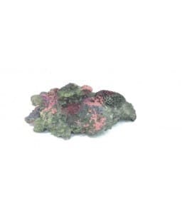6031-home_default.jpg KW Zone Aquarium DeCOration CO015 (25x17x7cm) - Image 1