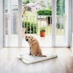 Duvo+ Pet Pad (P-PAD) - Dog Training Medium - 30pcs - 30x45cm