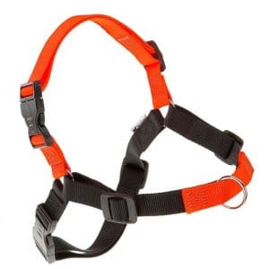 Ferplast Coach P S-M Harness[Color - Orange, Size - L/XL]