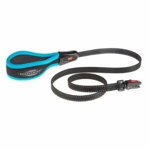 Ferplast Dog Leash with Automatic Hook[Color - Blue, Dimension - 120cmX15mm]
