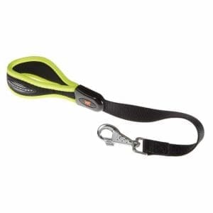 Ferplast Ergonomic Lead for Dogs[Color - Green, Dimension - 55cmX25mm]