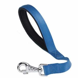 Ferplast Daytona GM 25/45 Short Nylon Dog Lead With Soft Padding and Hygienic Bag Holder[Color - Blue, Dimension - 25mm x L 45cm]