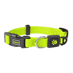 DOCO Signature Nylon Collar -1.5 x 27-37cm[Color - Lemon, Size - S]