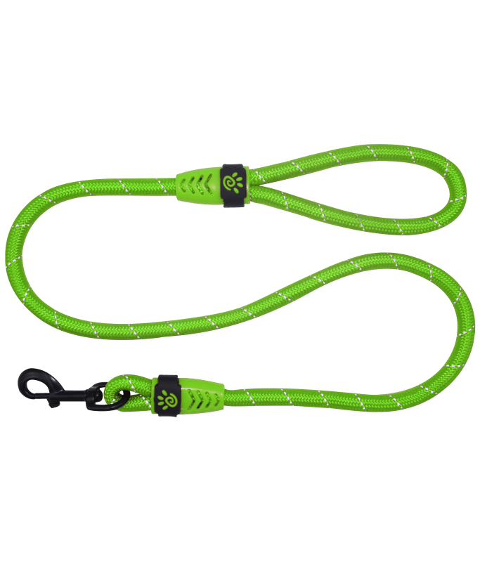 12097-large_default.png Doco Reflective Rope Leash With Plastic Encased Handle Loop (1/2″ Width) – 4ft – Large – Lemon - Image 1