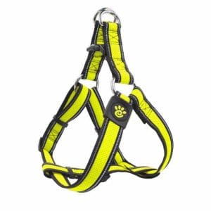 DOCO® Athletica Air Step-In Harness (DCA202)[Size - M, Color - Safety Lime]