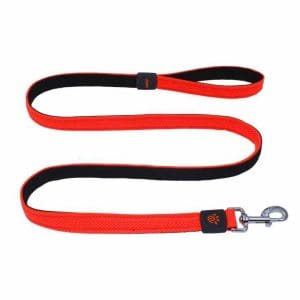 DOCO® JELLY BEAN LEASH 5ft (DCA1150)[Size - XS, Color - Safety Orange]
