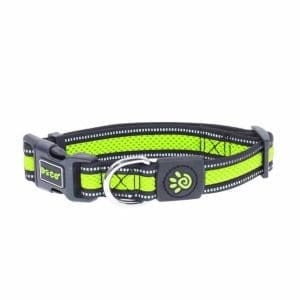 DOCO® Athletica Air Collar (DCA002)[Size - L, Color - Safety Lime]
