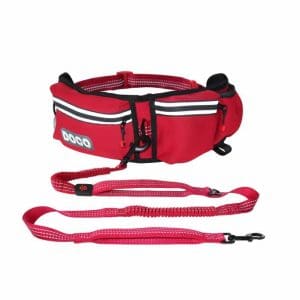 DOCO Reflective Jogging Belt W/Reflective Nylon Bungee Leash (DCJB018)