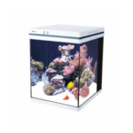 Boyu MEZ Series Intelligent Aquarium