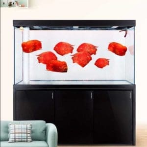 Karis Aquarium LYP-Series
