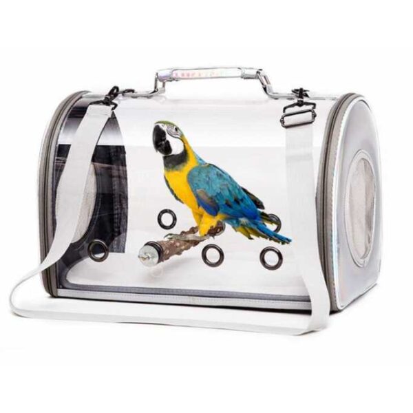 Bird Cage for Parrot