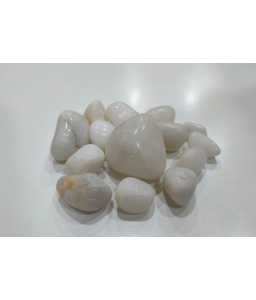 16735-home_default.jpg Indian Stone Aquarium Pebbles - Stones - Rocks - Gravel - RS1 - 25 KG - Image 1