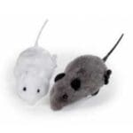 Padovan Wind-Up Mouse, Cat Toy - 12Pcs/Box