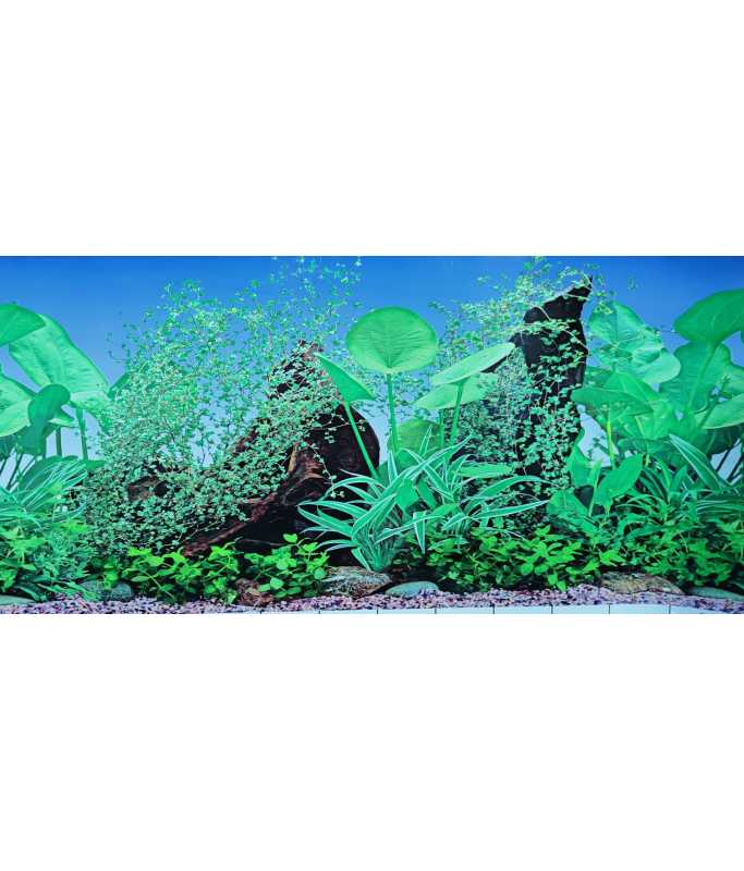 17808-large_default KW Zone Aquarium Backscreen 12"x15m - Image 1