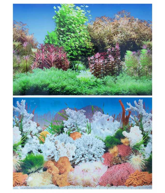 17829-large_default KW Zone Aquarium Backscreen 24"x15m - Image 1
