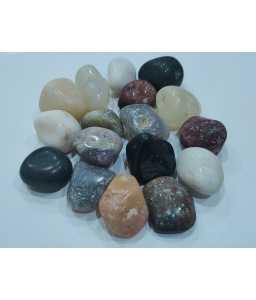 17842-home_default.jpg Indian Stone Aquarium Pebbles - Stones - Rocks - Gravel - Image 1