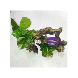 Yusee Aquarium Decoration - Artificial Plant - YS-19513[Dimension - 26 x 14 x 24cm]