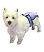 Poochpad Poochpants Reusable Diaper