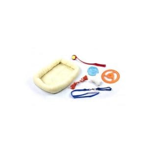 Paw Pals Dog Gift Box 8 In - Dog Starter Kit