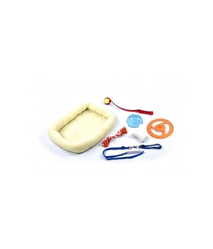 3661-large_default Paw Pals Dog Gift Box 8 In - Dog Starter Kit - Image 1