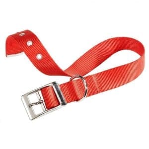 Ferplast Club CF Collar[Color - Maroon, Dimension - 37-45cm x 25mm]
