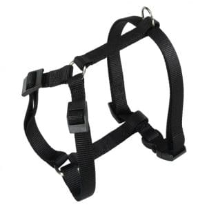 Ferplast Champion P Harness[Color - Black, Dimension - 20-28cm x 25-38cm x 10mm, Size - XS]