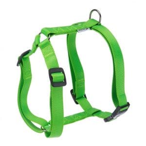 Ferplast Champion P Harness[Color - Green, Dimension - 43-66cm x 50-82cm x 20mm]