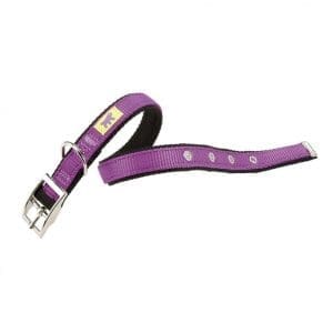 Ferplast Dual CF Collar[Color - Purple, Dimension - 35-43cm x 20mm]