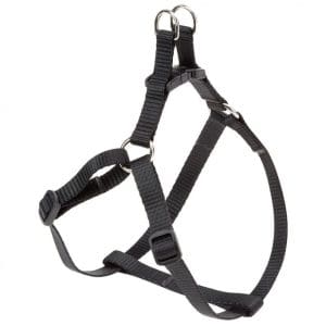 Ferplast Easy P Harness[Color - Black, Dimension - 35-53cm x 10mm]